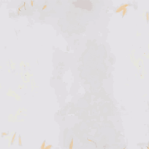处（chǔ）暑（shǔ）温馨提示：您的夏日余额已不足！