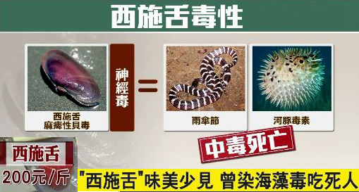 海鲜各种贝类，文蛤、牡蛎、竹蛏、毛蚶……你都了解了吗