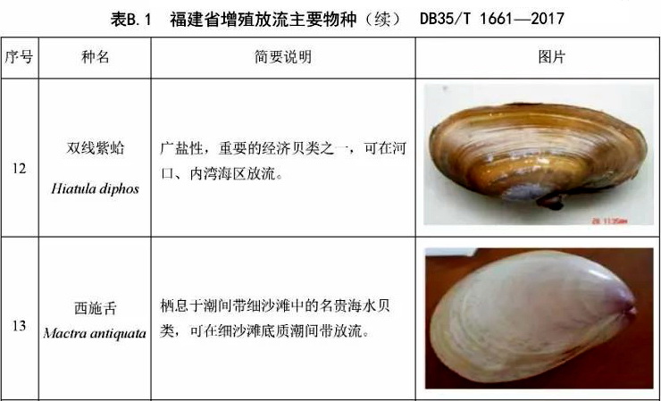 海鲜各种贝类，文蛤、牡蛎、竹蛏、毛蚶……你都了解了吗