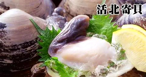 海鲜各种贝类，文蛤、牡蛎、竹蛏、毛蚶……你都了解了吗