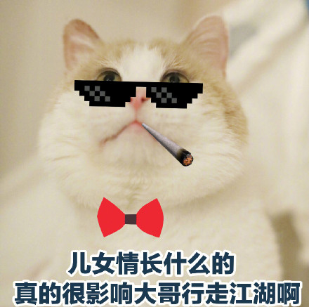 猫咪沙雕表情包：儿女情长什么的，真的很影响大哥行走江湖啊