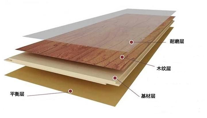 实木、实木复合、强化哪个地板好？商家讲出大实话+6大品牌详解