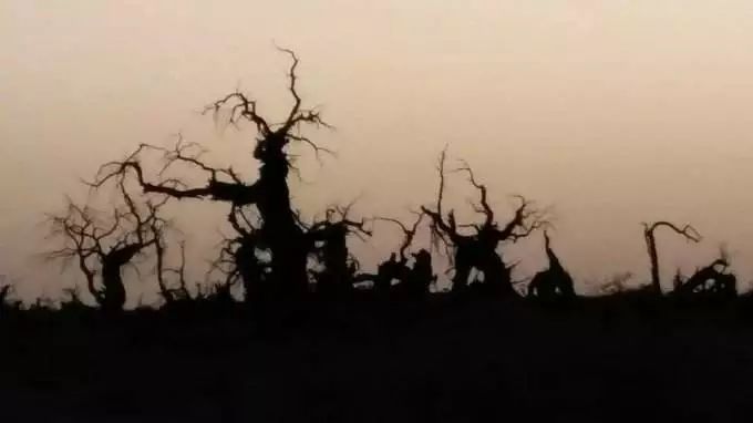 《桃花源记》为什么越看越觉得诡异可怕？三种解读，哪个才是陶渊明要讲的故事？