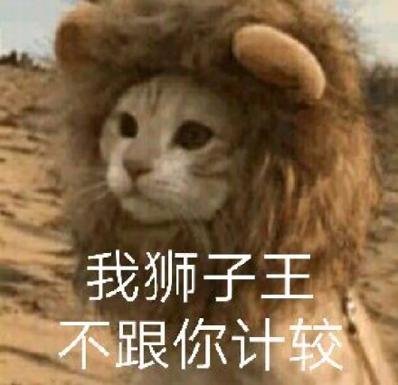 猫咪表情包：快让我看看怎么年纪轻轻就傻了