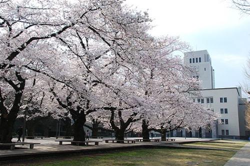盘点日本最好的五所大学