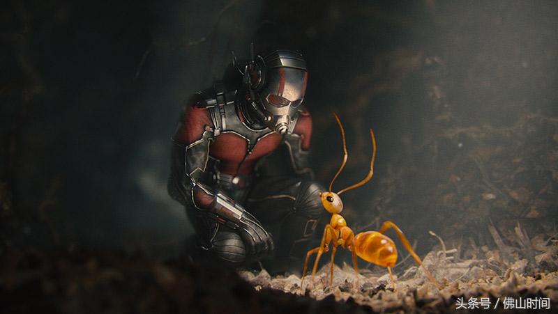 视效升级“大有不同” IMAX3D《蚁人2》观影 好评如潮