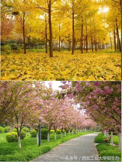 开学了！学长怎么给学妹介绍学校，非常急，在线等！