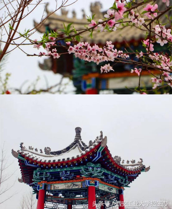 开学了！学长怎么给学妹介绍学校，非常急，在线等！