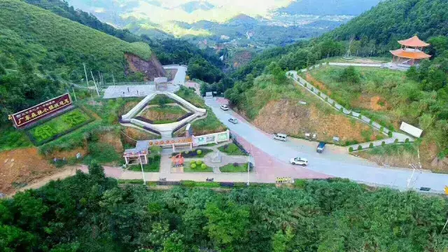 茂名这个公园才亮相两个月，来了6万游客！到底有多美？约起~