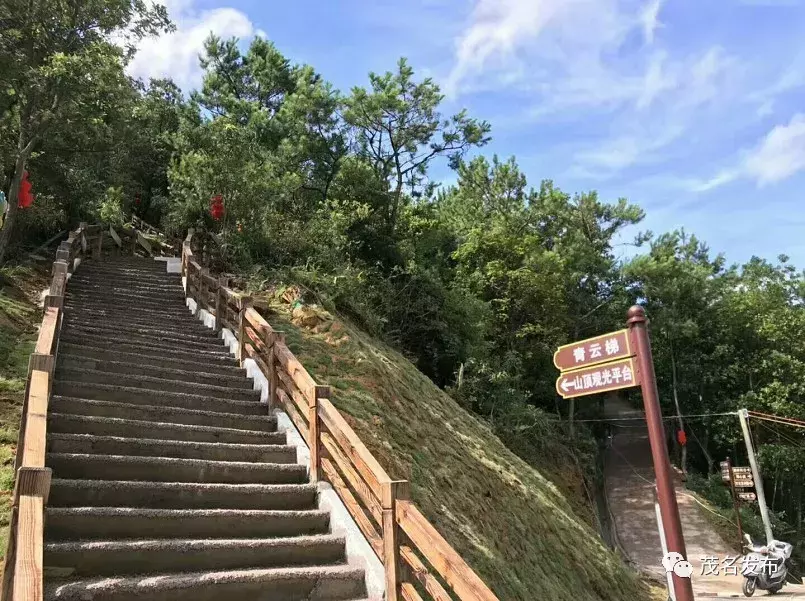 茂名这个公园才亮相两个月，来了6万游客！到底有多美？约起~