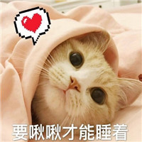 猫咪可爱表情包：人为什么要上班