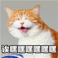 猫咪可爱表情包：人为什么要上班