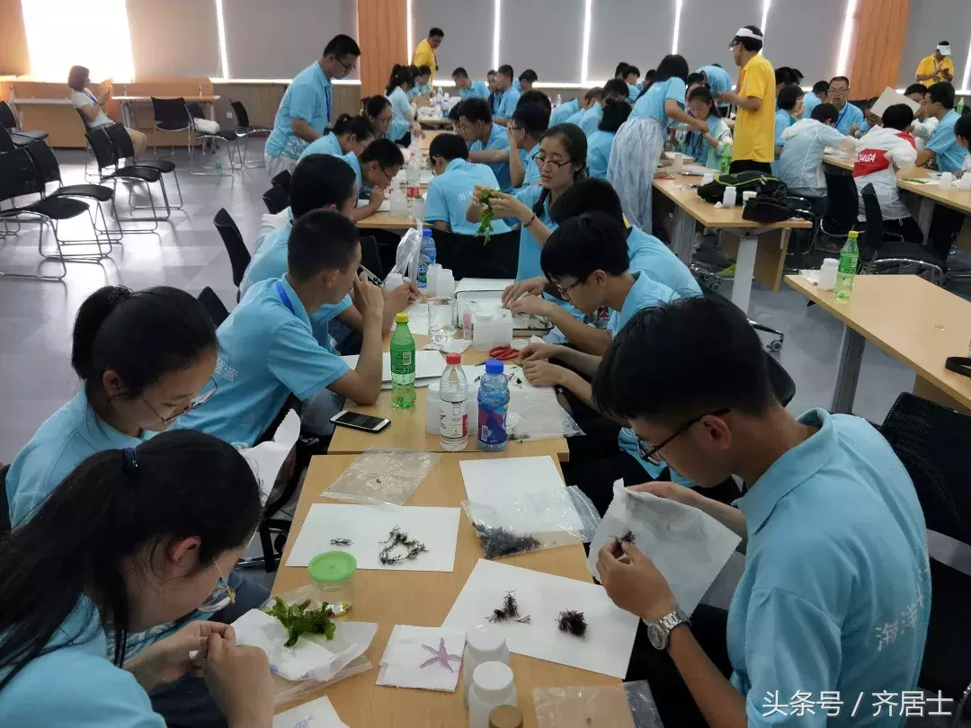 你没看错，北师大庆阳附校的学生们是这样过暑假的……