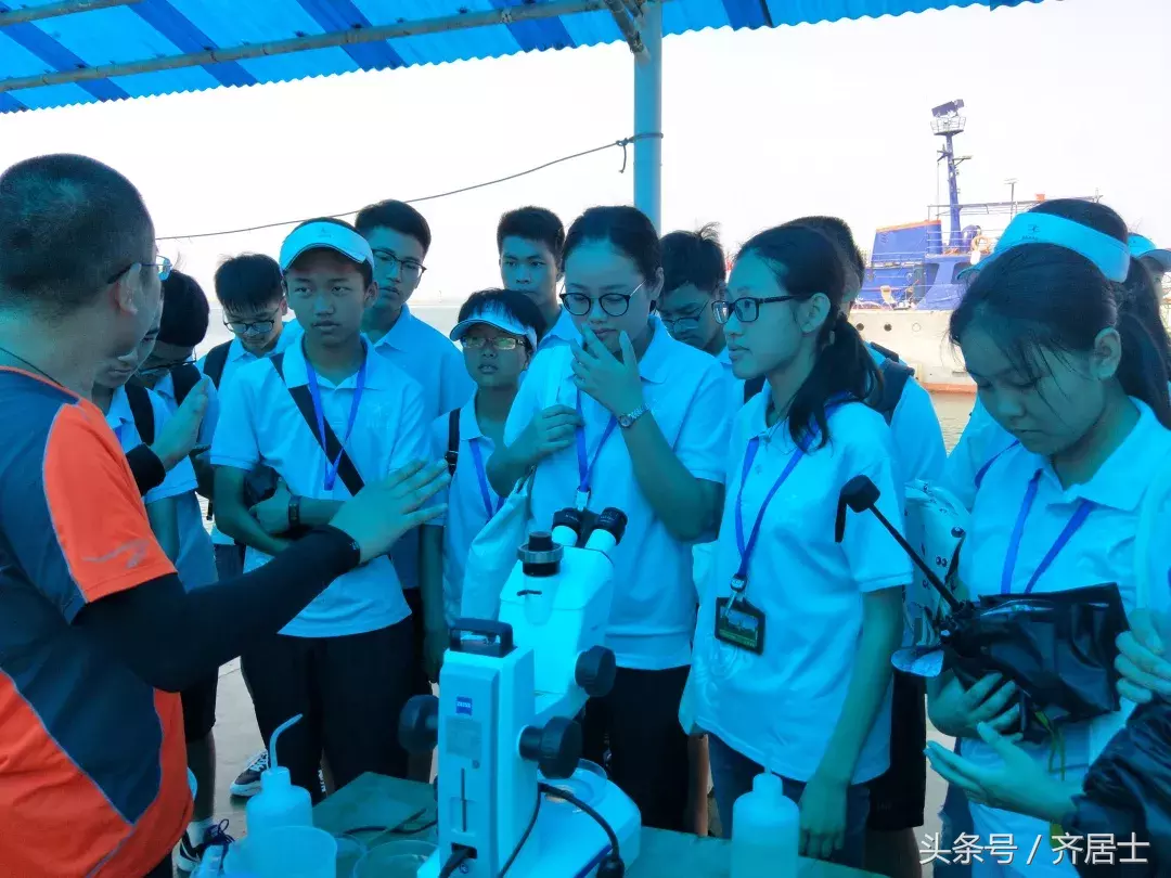 你没看错，北师大庆阳附校的学生们是这样过暑假的……