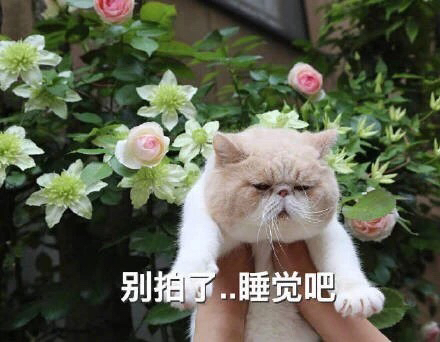 每天早起的我