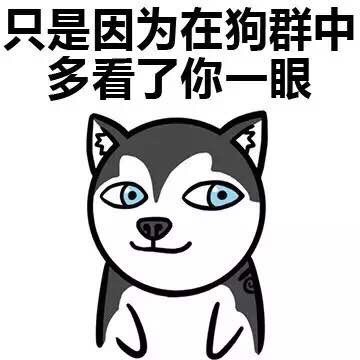 各种dog表情