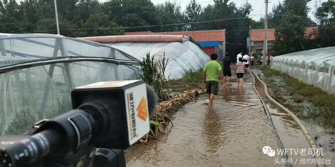 8月28日潍坊电视台“潍坊微直播”对青州三个受灾村庄进行微直播