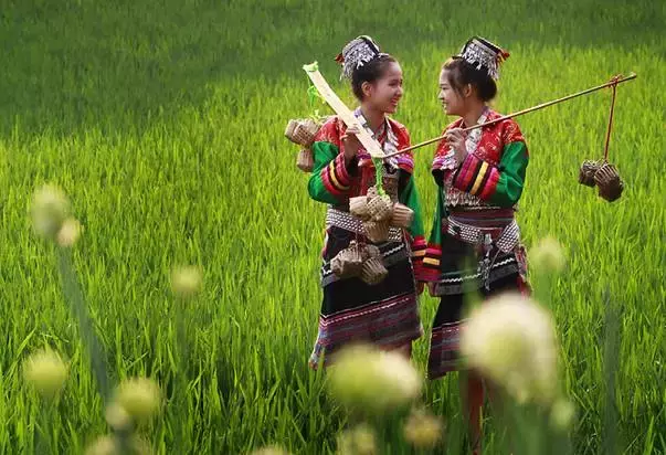 云南新宠,藏在滇中的美景!比洱海静谧,少有游人!