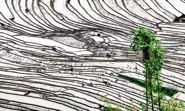 云南新宠,藏在滇中的美景!比洱海静谧,少有游人!