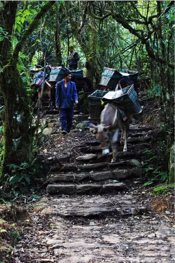 云南新宠,藏在滇中的美景!比洱海静谧,少有游人!