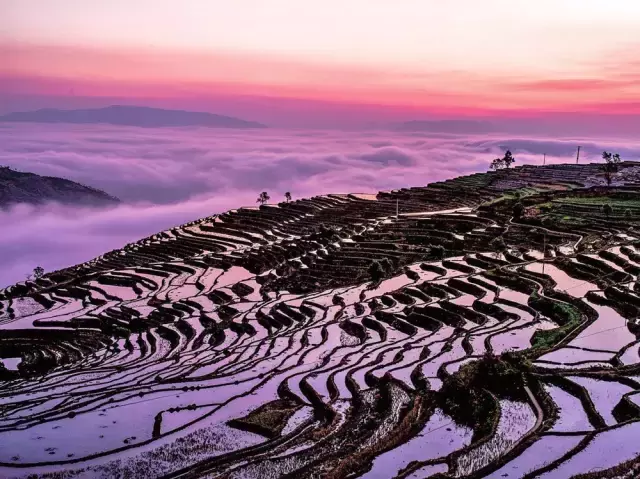 云南新宠,藏在滇中的美景!比洱海静谧,少有游人!
