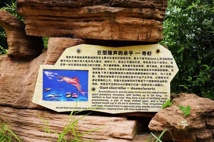 云南新宠,藏在滇中的美景!比洱海静谧,少有游人!