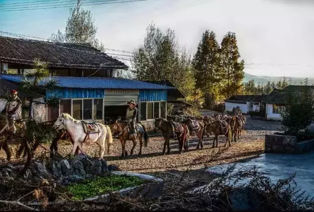 云南新宠,藏在滇中的美景!比洱海静谧,少有游人!