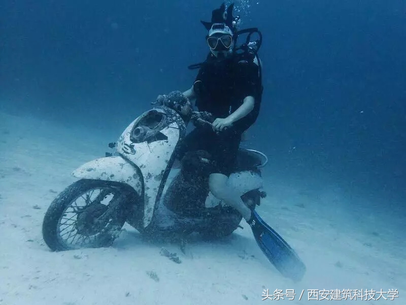 不仅颜值高，还是女学霸！这对闺蜜同窗五年，如今一起留学英国！