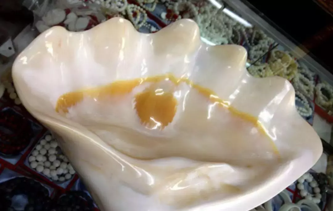 金丝车渠手串图片价格金丝砗磲的历史文化