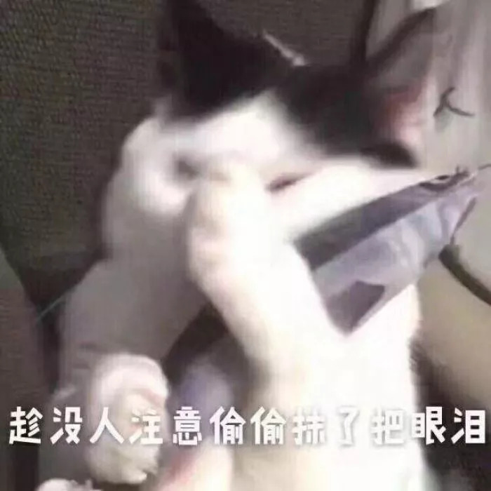 淘宝网精致不贵的饰品店（淘宝饰品店推荐）