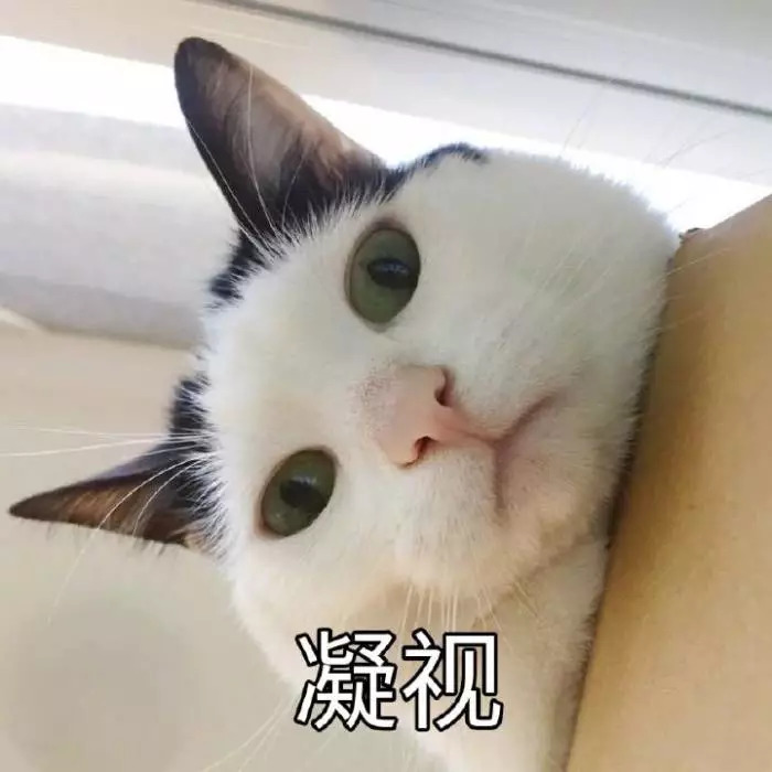 淘宝网精致不贵的饰品店（淘宝饰品店推荐）