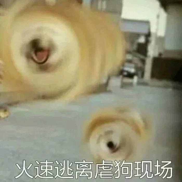 淘宝网精致不贵的饰品店（淘宝饰品店推荐）
