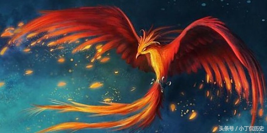 鸑鷟怎么读？上古凤凰五种分类详解