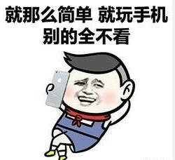 没那么简单歌词改编搞笑表情包玩手机系列