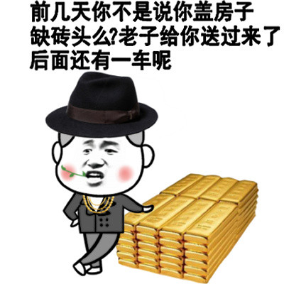 土豪专用表情包，金砖盖房你懂吗