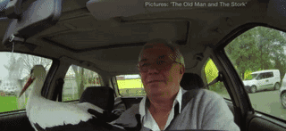 被誉为21世纪最奇葩的感情！让总统落泪，全世界头版头条给了他