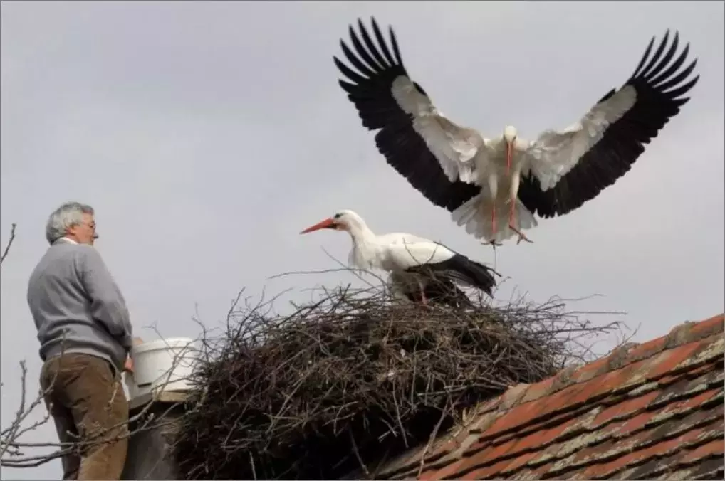 被誉为21世纪最奇葩的感情！让总统落泪，全世界头版头条给了他