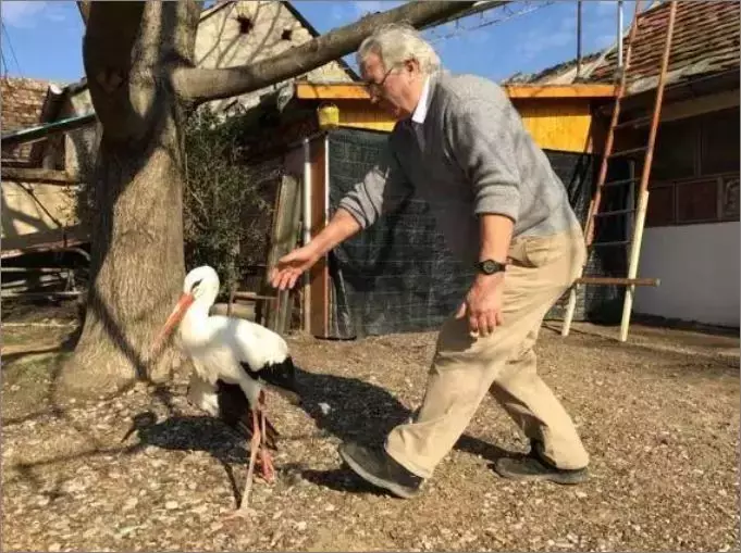 被誉为21世纪最奇葩的感情！让总统落泪，全世界头版头条给了他