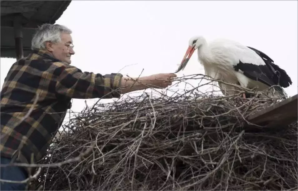 被誉为21世纪最奇葩的感情！让总统落泪，全世界头版头条给了他