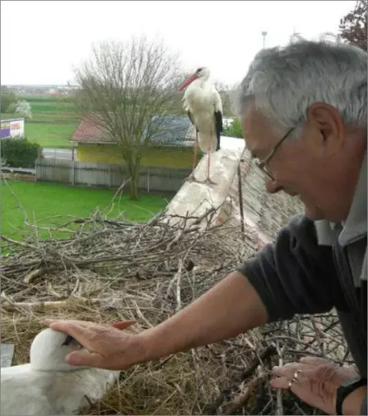 被誉为21世纪最奇葩的感情！让总统落泪，全世界头版头条给了他