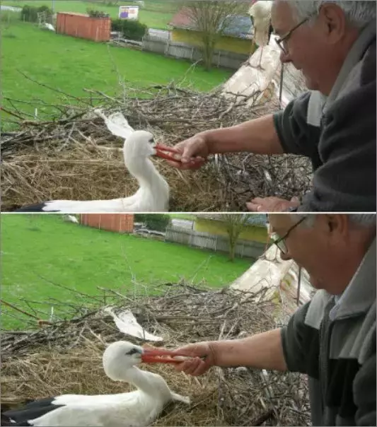 被誉为21世纪最奇葩的感情！让总统落泪，全世界头版头条给了他