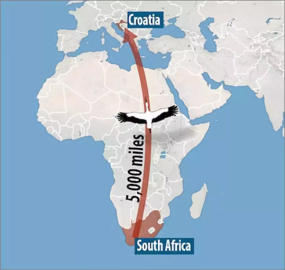 被誉为21世纪最奇葩的感情！让总统落泪，全世界头版头条给了他