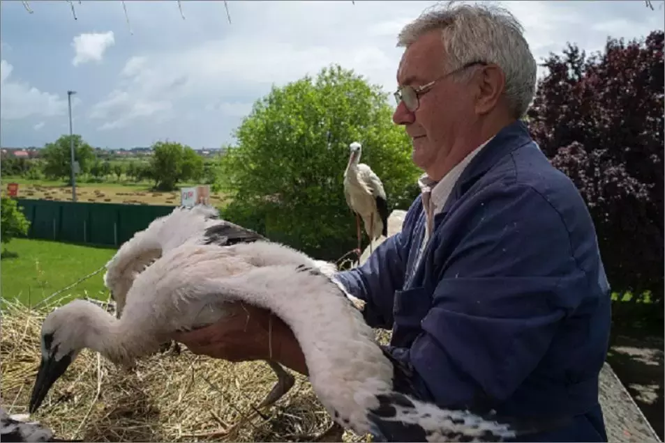 被誉为21世纪最奇葩的感情！让总统落泪，全世界头版头条给了他