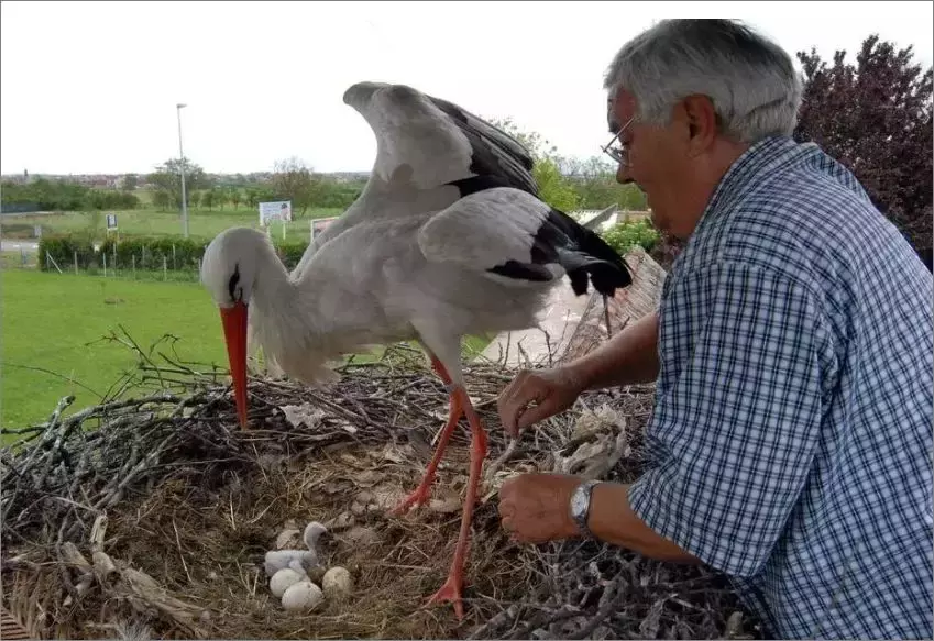 被誉为21世纪最奇葩的感情！让总统落泪，全世界头版头条给了他