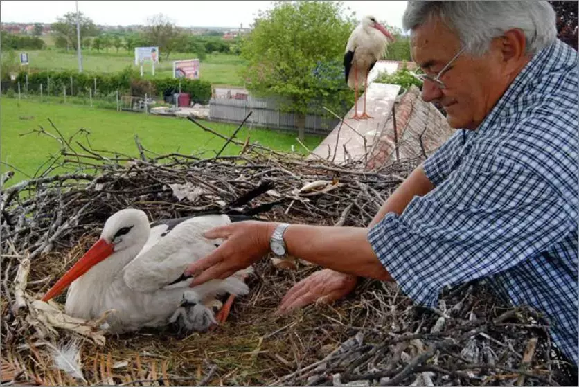 被誉为21世纪最奇葩的感情！让总统落泪，全世界头版头条给了他