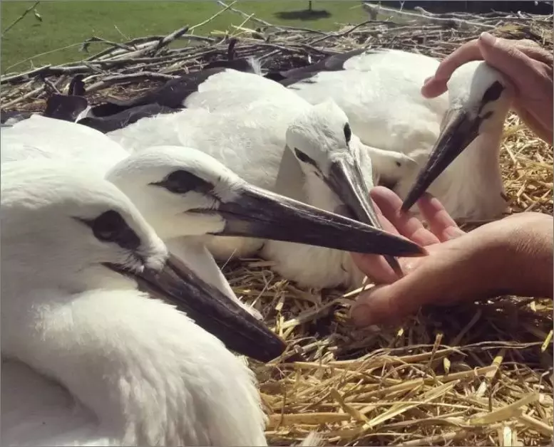 被誉为21世纪最奇葩的感情！让总统落泪，全世界头版头条给了他