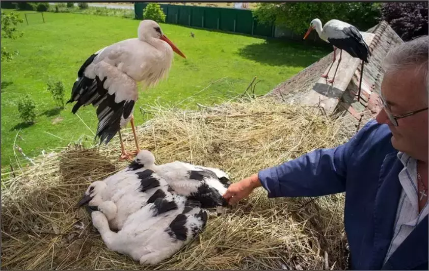被誉为21世纪最奇葩的感情！让总统落泪，全世界头版头条给了他