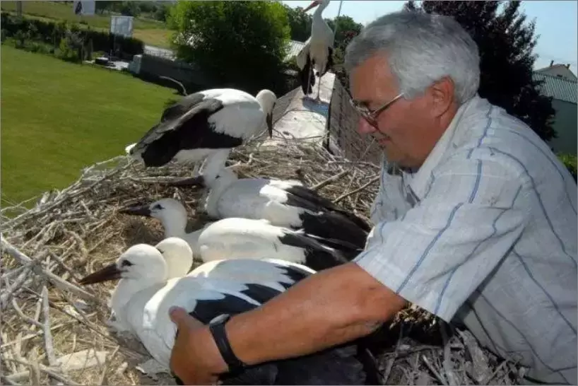 被誉为21世纪最奇葩的感情！让总统落泪，全世界头版头条给了他