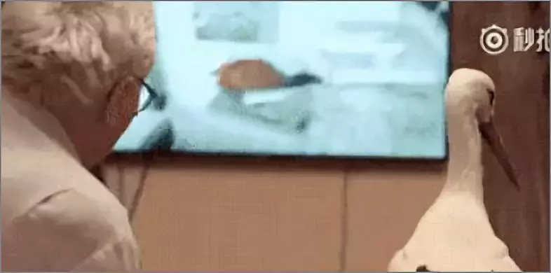 被誉为21世纪最奇葩的感情！让总统落泪，全世界头版头条给了他