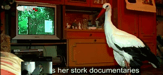 被誉为21世纪最奇葩的感情！让总统落泪，全世界头版头条给了他